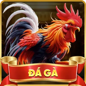 An toàn bảo mật Banca28